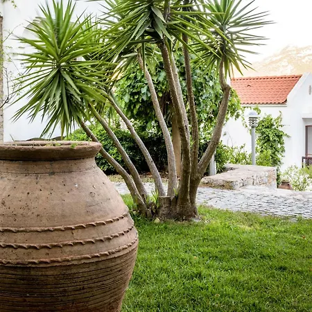 مارفي فندق داتْشا