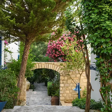 مارفي داتْشا