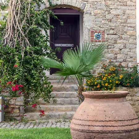 فندق مارفي داتْشا