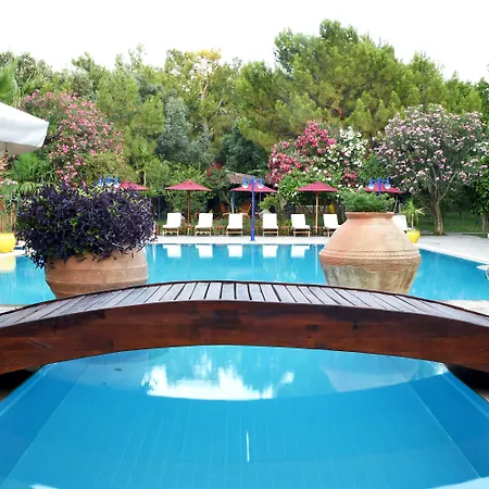 مارفي داتْشا