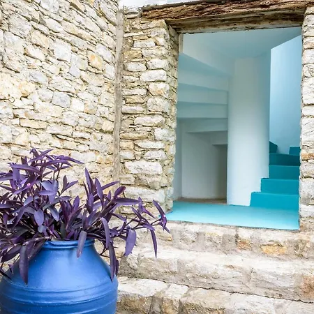 مارفي داتْشا