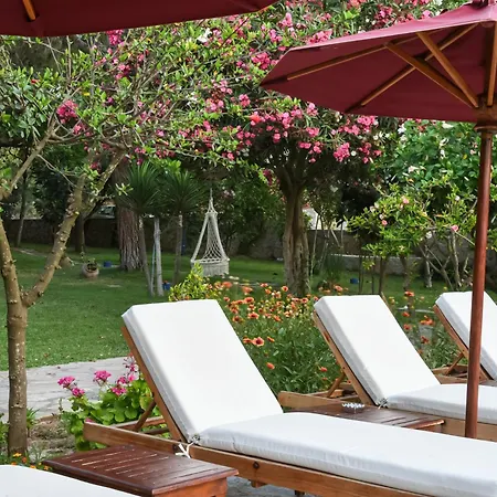 مارفي 4* داتْشا