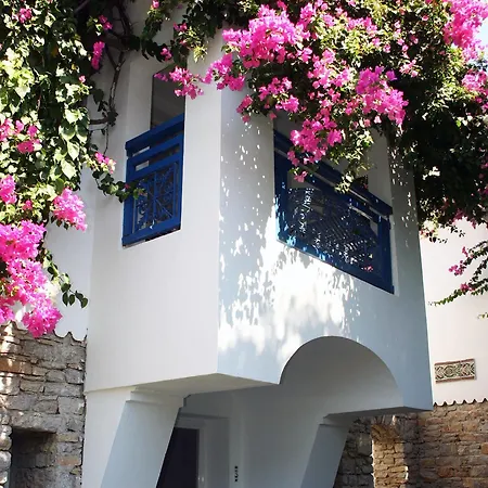 Marphe Datca