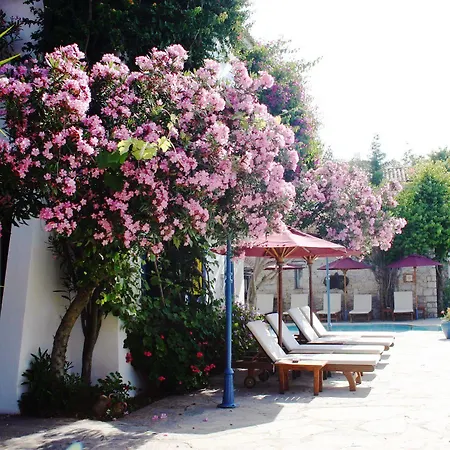 Hotel Marphe 4*